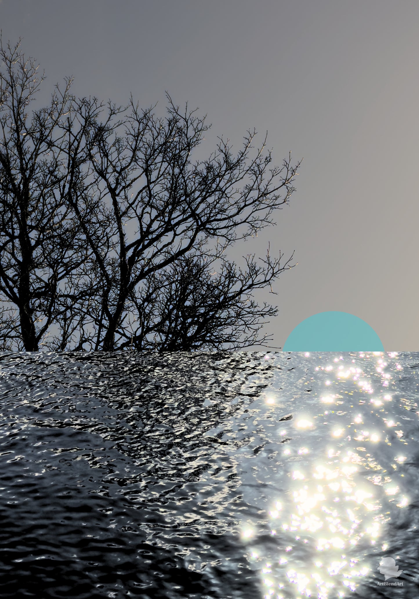 Low Tide, High Light