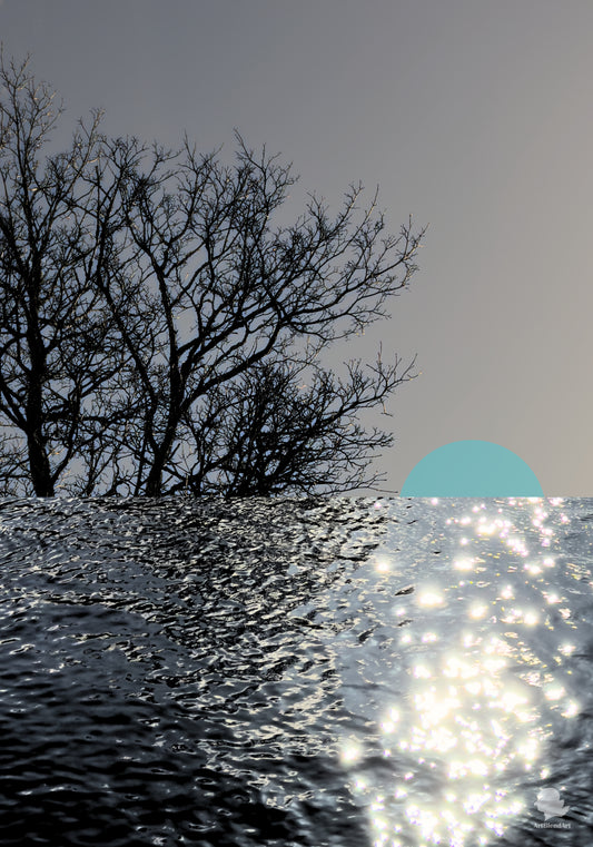 Low Tide, High Light